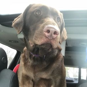 Meet your Posher, Nichole